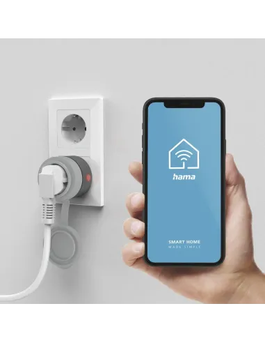 Hama Outdoor toma de corriente Tipo E Gris