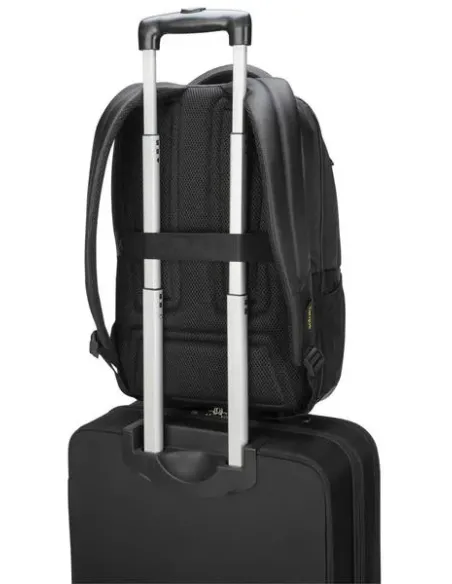 Targus Citygear 43,9 cm (17.3") Mochila Negro