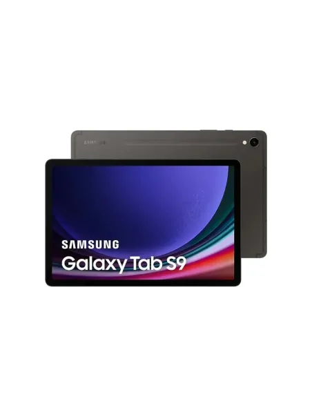 Samsung Galaxy Tab S9 SM-X716B