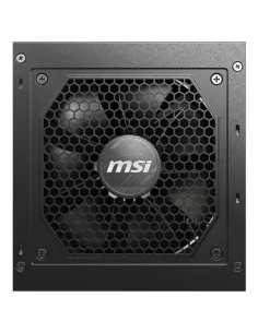 MSI MAG A750GL PCIE5 II unidad de fuente de alimentación 750 W 20+4 pin ATX ATX Negro 2