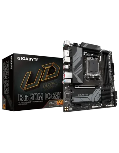 Gigabyte B650M DS3H