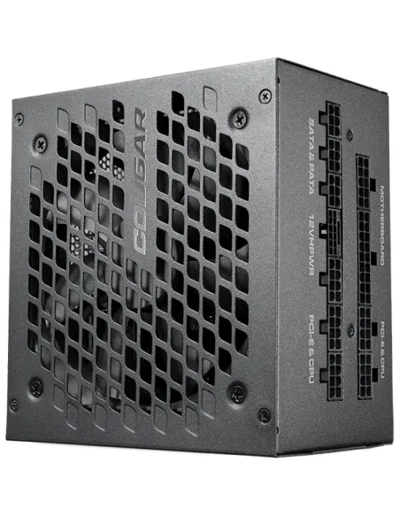 COUGAR Gaming GEX X2 1000 unidad de fuente de alimentación 1000 W 20+4 pin ATX ATX Negro