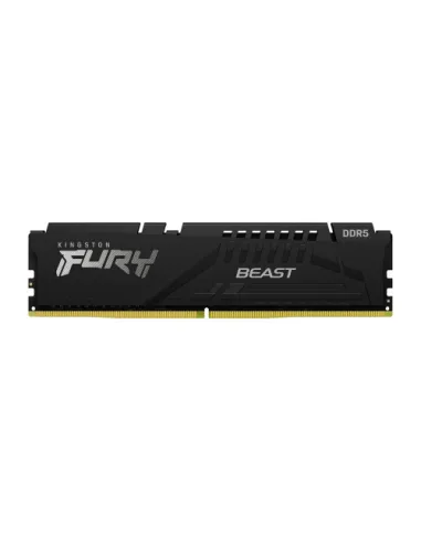 Kingston Technology FURY Beast