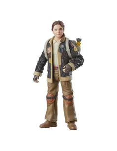 Star Wars The Black Series Fern