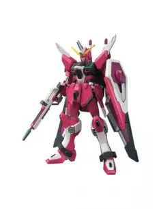 Hg 1 - 144 infinite justice gundam type ii re - run