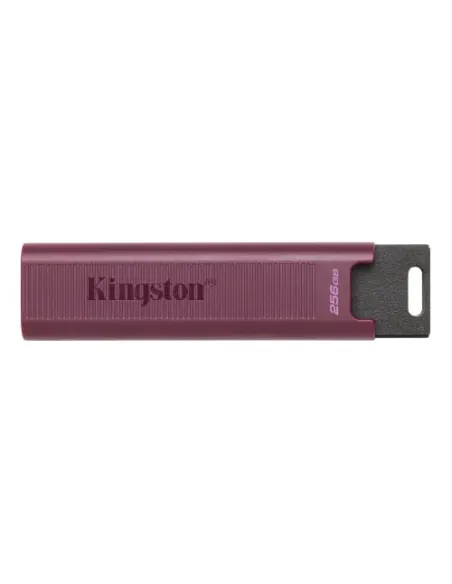 Kingston Technology DataTraveler Max