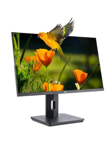 Nilox Monitor de 24" Regulable, Full HD, HDMI, DP y VGA