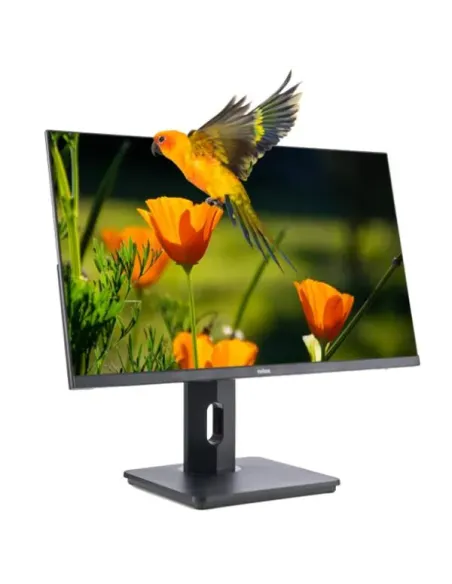 Nilox Monitor de 24" Regulable, Full HD, HDMI, DP y VGA