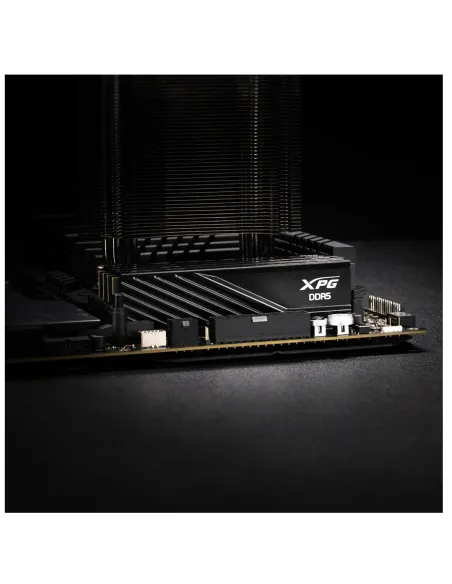 ADATA Lancer Blade módulo de memoria 32 GB 2 x 16 GB DDR5 6000 MHz ECC