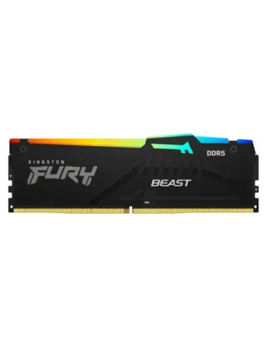 Kingston Technology FURY Beast RGB