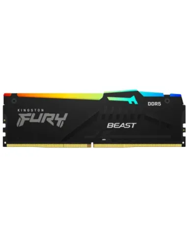 Kingston Technology FURY Beast RGB