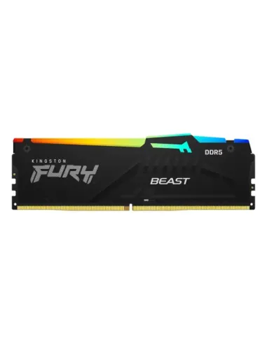 Kingston Technology FURY Beast RGB