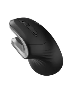 Ewent EW3154 ratón Universal mano derecha RF inalámbrico Óptico 3200 DPI