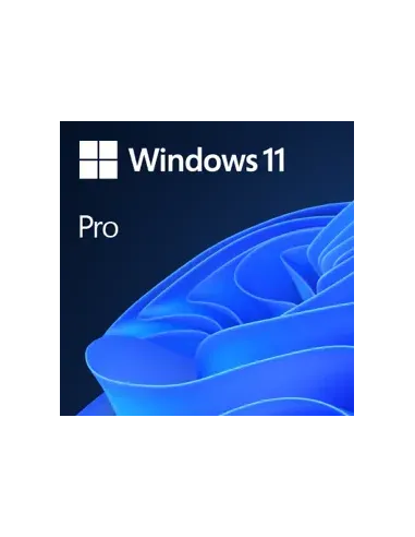 Microsoft Windows 11 Pro