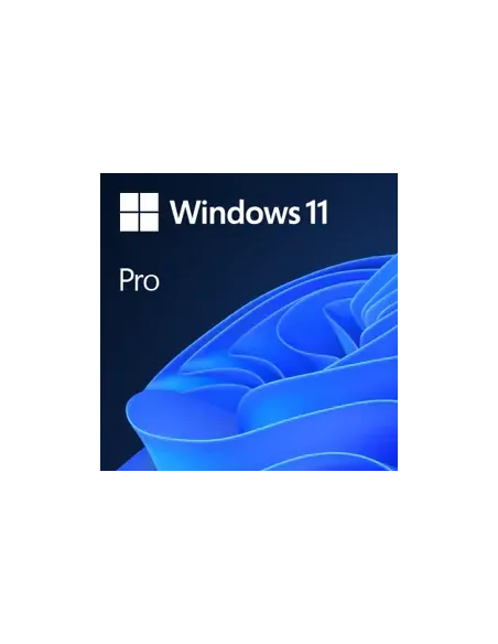Microsoft Windows 11 Pro