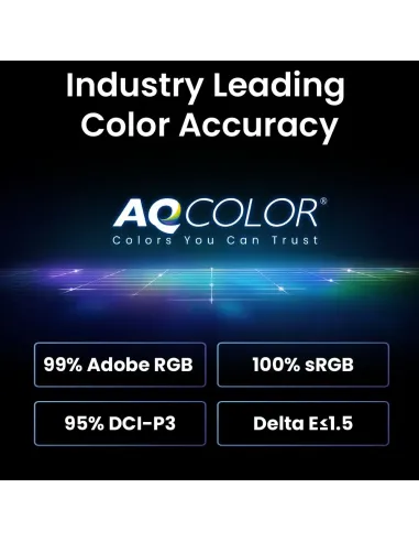 BenQ SW242Q pantalla para PC 61,2 cm (24.1") 2560 x 1600 Pixeles WQXGA LED Negro