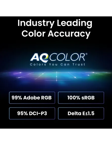 BenQ SW242Q pantalla para PC 61,2 cm (24.1") 2560 x 1600 Pixeles WQXGA LED Negro