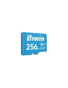 Biwin MS100 microSDXC UHS-1 256GB C10 U3 V30 A1