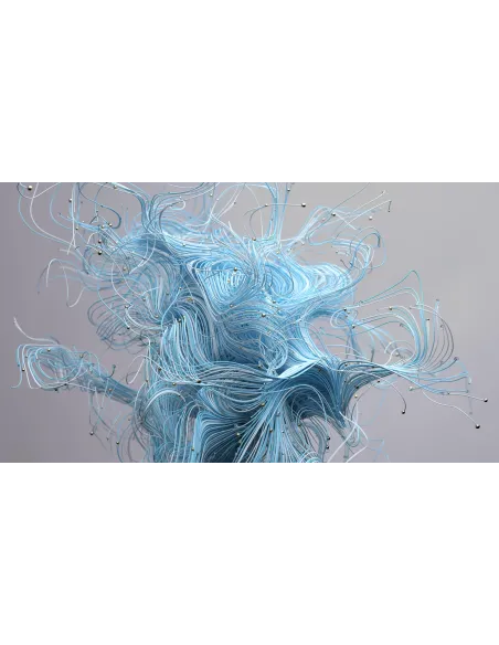 Philips 1000 series 24E2N1110 00 pantalla para PC 60,5 cm (23.8") 1920 x 1080 Pixeles Full HD LCD Negro