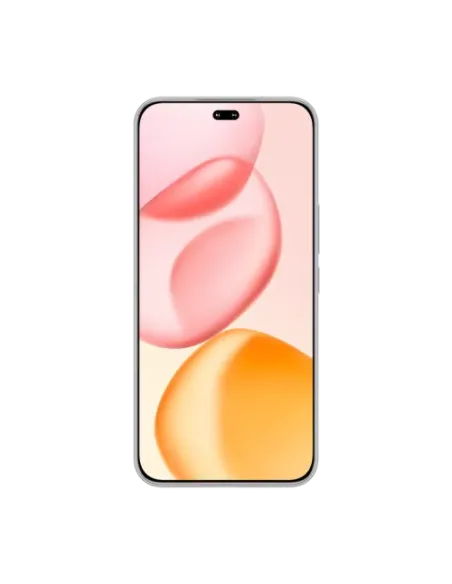 Honor 400 Pro 17 cm (6.7") MagicOS 9.0 5G 12 GB 512 GB 5300 mAh Gris