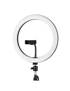 iggual Anillo   aro de luz LED diámetro 10" 26 cm