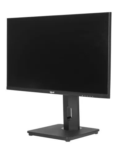 iggual ML24FA pantalla para PC 61 cm (24") 1920 x 1080 Pixeles Full HD LED Negro
