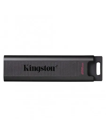 Kingston Technology DataTraveler Max