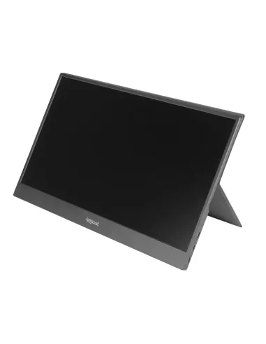 iggual MPL156 pantalla para PC 39,6 cm (15.6") 1920 x 1080 Pixeles Full HD LCD Negro