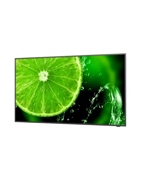 NEC MultiSync E498 124,5 cm (49") IPS 350 cd   m² 4K Ultra HD Negro 16 7