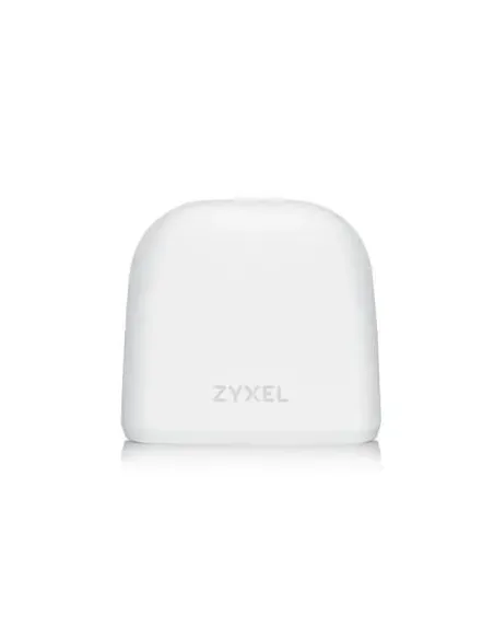 Zyxel ACCESSORY-ZZ0102F