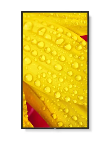 NEC MultiSync M551-2 Diseño de quiosco 127 cm (50") LED 4K Ultra HD Negro Procesador incorporado