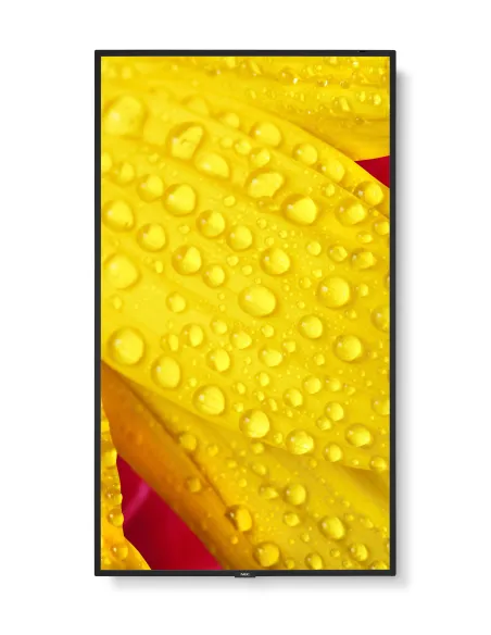 NEC MultiSync M551-2 Diseño de quiosco 127 cm (50") LED 4K Ultra HD Negro Procesador incorporado
