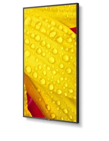 NEC MultiSync M501-2 Diseño de quiosco 127 cm (50") LED 4K Ultra HD Negro Procesador incorporado