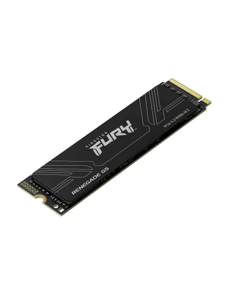 Kingston Technology 4T FURY RENEGADE G5 M.2 2280 NVMe SSD