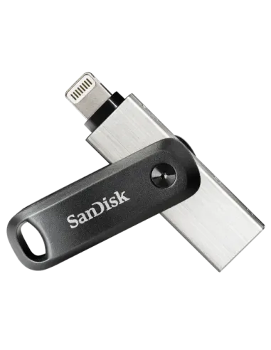 SanDisk SDIX60N-256G-GN6NE unidad flash USB 256 GB 3.2 Gen 1 (3.1 Gen 1) Gris, Plata