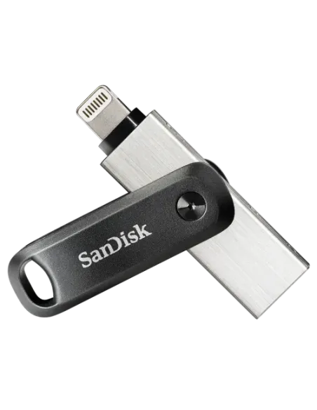 SanDisk SDIX60N-256G-GN6NE unidad flash USB 256 GB 3.2 Gen 1 (3.1 Gen 1) Gris, Plata