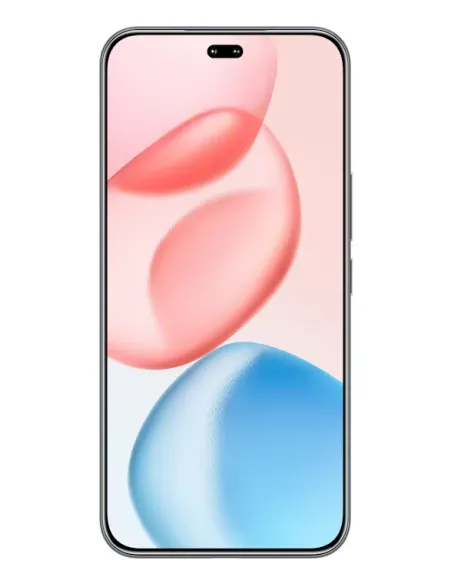 Honor 400 Pro 17 cm (6.7") MagicOS 9.0 5G 12 GB 512 GB 5300 mAh Negro