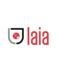 LAIA SOPORTE UNIVERSAL DE PARED DE HIERRO NEGRO GALVANIZADO (SWM)