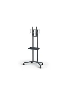 SHARP NEC PD04 190,5 cm (75") Gris