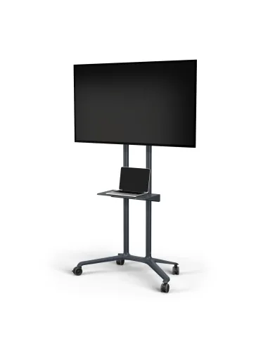 SHARP NEC PD04 190,5 cm (75") Gris