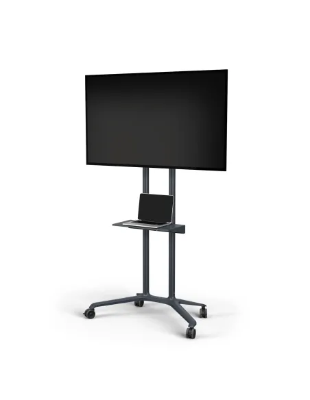 SHARP NEC PD04 190,5 cm (75") Gris