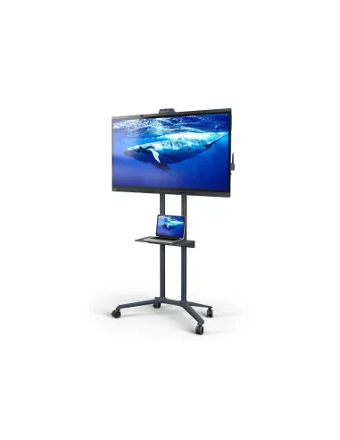 SHARP NEC PD04 190,5 cm (75") Gris