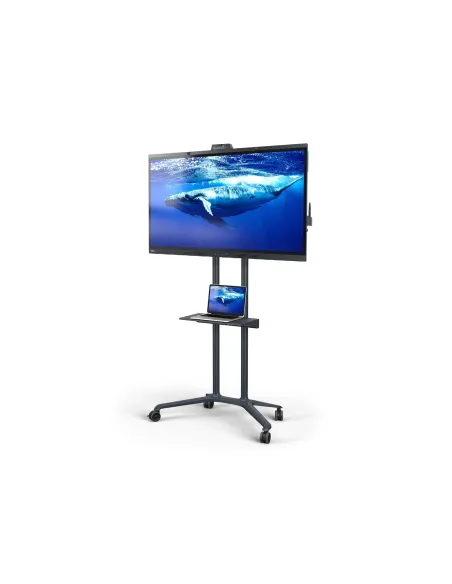 SHARP NEC PD04 190,5 cm (75") Gris