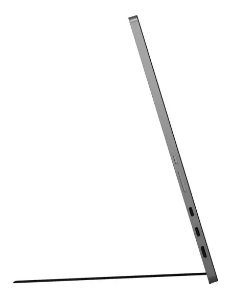 LG 17MT70 Monitor portátil Negro, Acero inoxidable 43,2 cm (17") LED 2560 x 1600 Pixeles