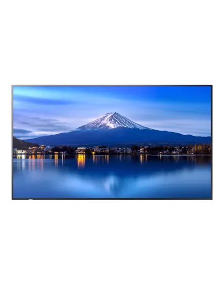 SHARP NEC MultiSync P656 Diseño de quiosco 163,8 cm (64.5") LED 700 cd   m² 4K Ultra HD Negro Procesador incorporado