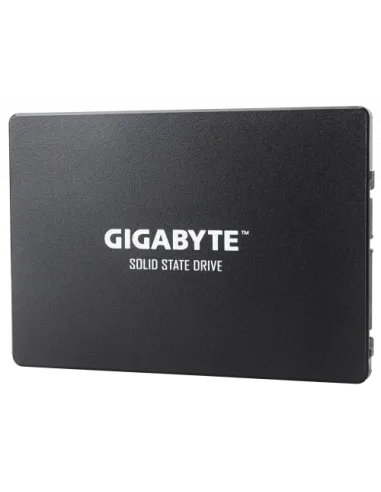 Gigabyte GP-GSTFS31240GNTD