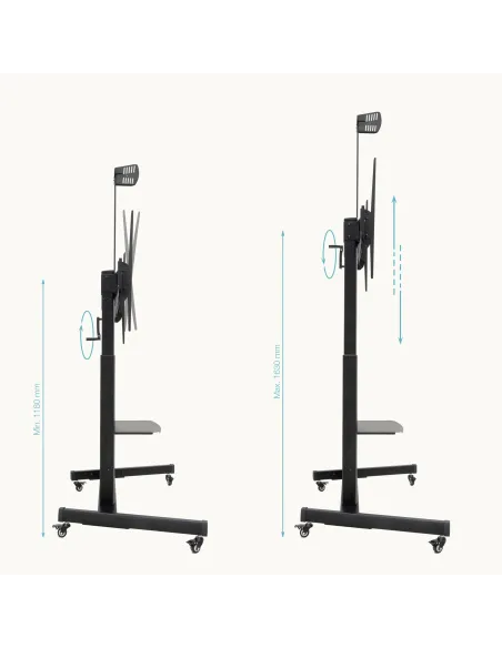 TooQ “AQUILES” Soporte de Suelo con Ruedas con Regulación de Altura para Pantallas 60"-100", Negro