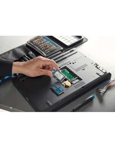 Kingston Technology Disco SSD KC600 SATA3 mSATA de 512 G