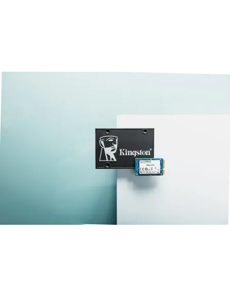 Kingston Technology Disco SSD KC600 SATA3 mSATA de 512 G
