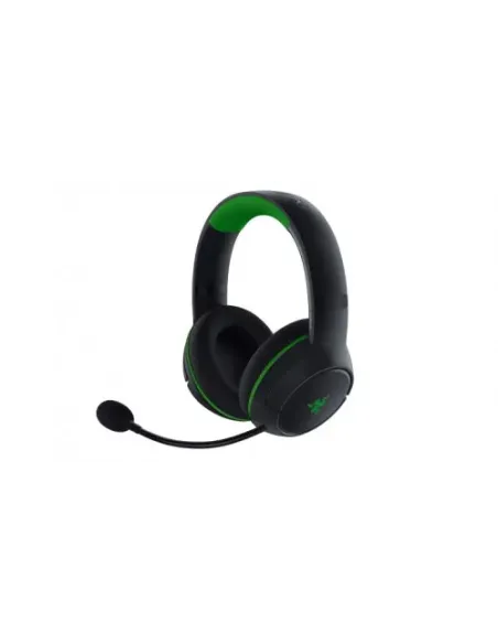 Razer RZ04-03480100-R3M1 auricular y casco Auriculares Diadema Negro